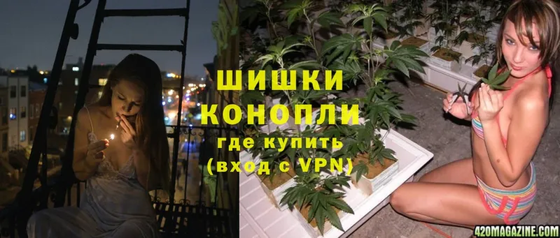 МАРИХУАНА OG Kush  ссылка на мегу tor  Волхов  купить наркотик 